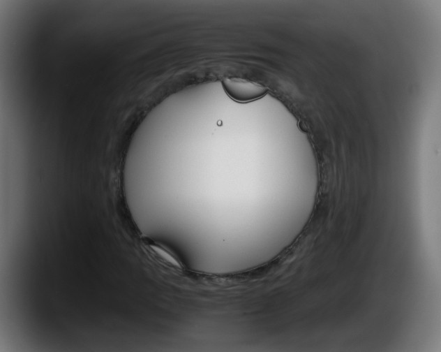 X0000087541109200705251714