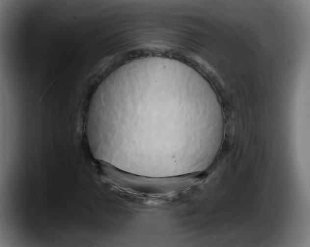 X0000087541110200705251714