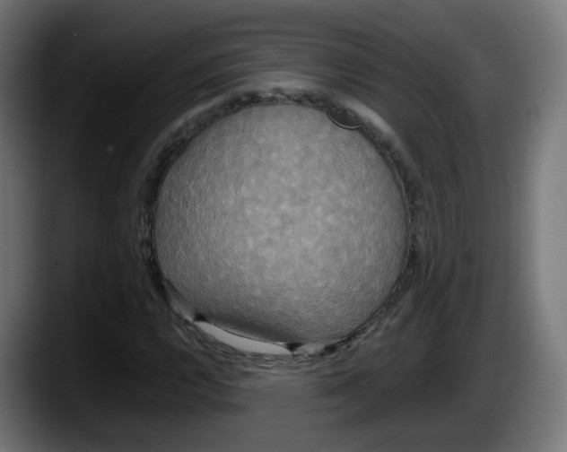 X0000087541112200705251714