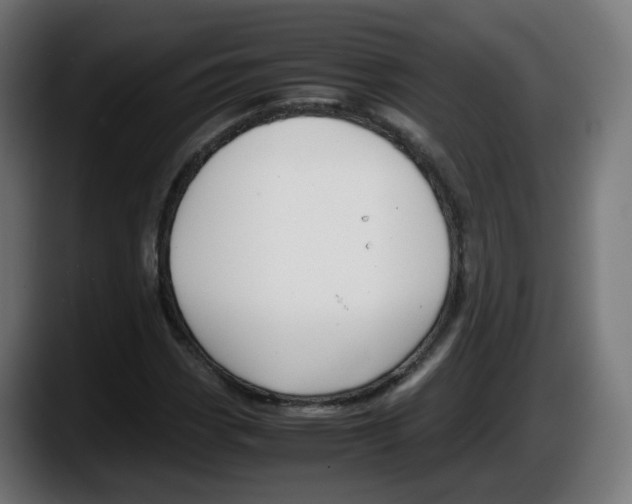 X0000087541113200705251714