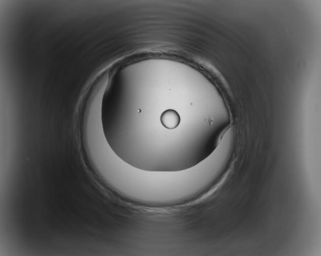 X0000087541114200705251714