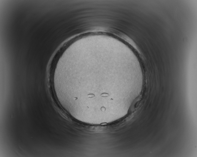 X0000087541116200705251714