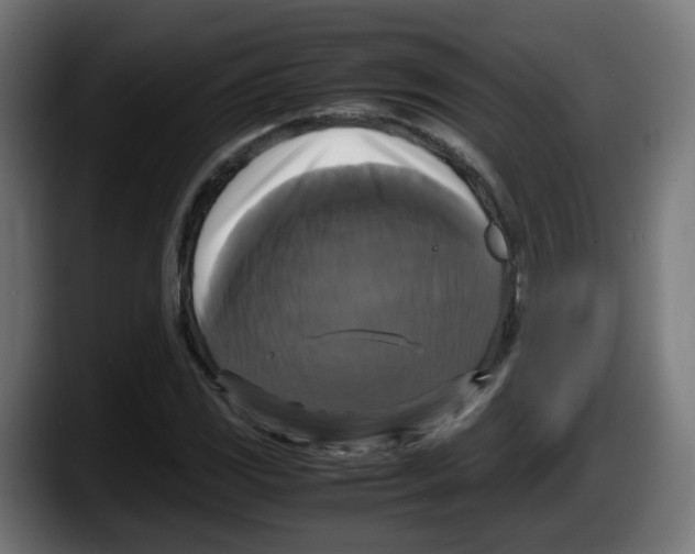 X0000087541117200705251714