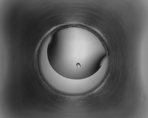 X0000087541118200705251714