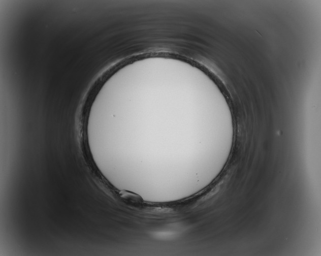 X0000087541119200705251714