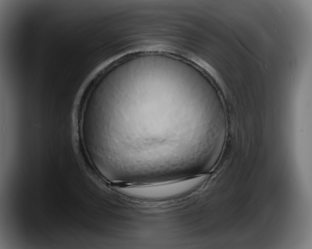 X0000087541120200705251714