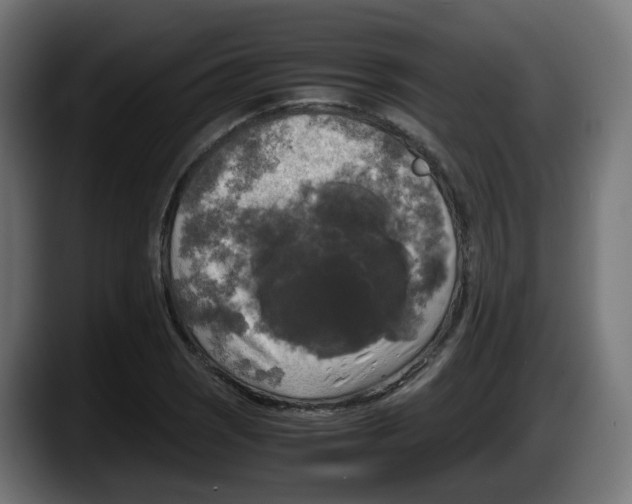 X0000087541121200705251714