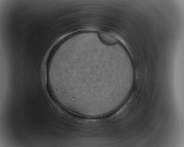 X0000087541123200705251714