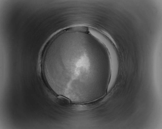 X0000087541124200705251714