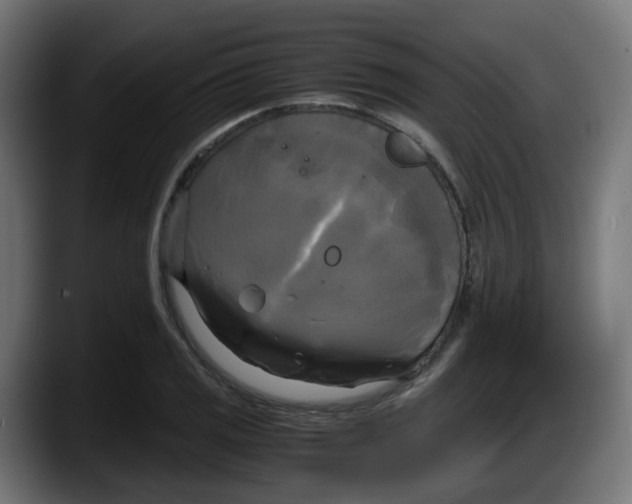 X0000087541125200705251714