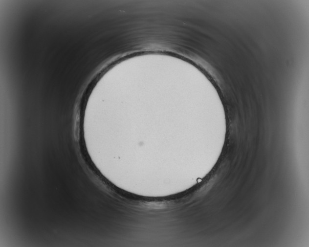 X0000087541126200705251714