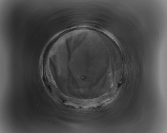 X0000087541127200705251714