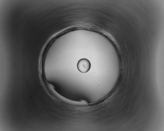 X0000087541128200705251714