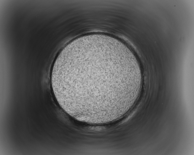 X0000087541129200705251714