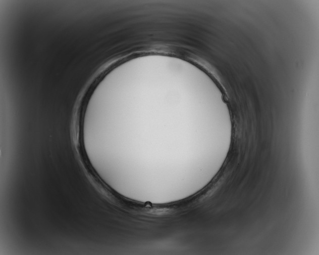 X0000087541131200705251714