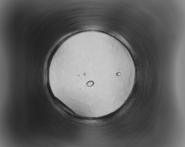 X0000087541132200705251714