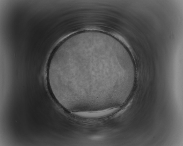 X0000087541133200705251714