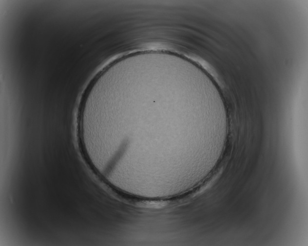 X0000087541134200705251714