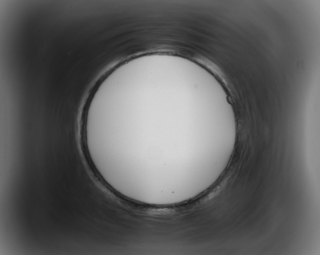 X0000087541135200705251714