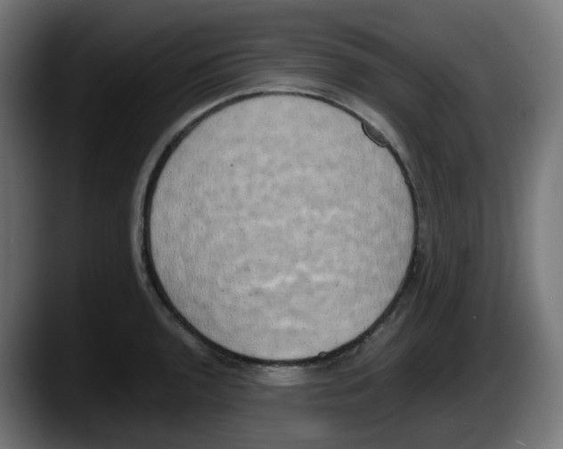 X0000087541136200705251714