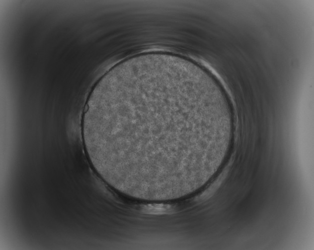 X0000087541137200705251714