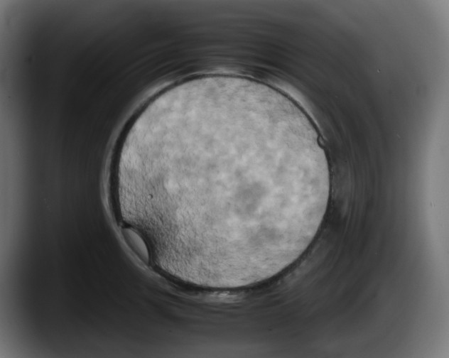 X0000087541139200705251714