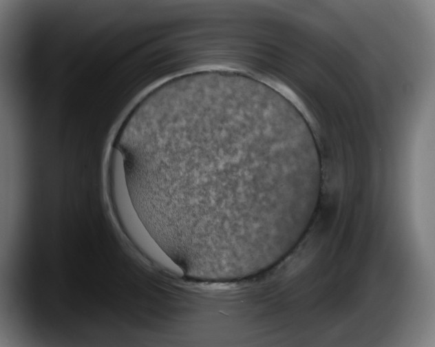 X0000087541140200705251714