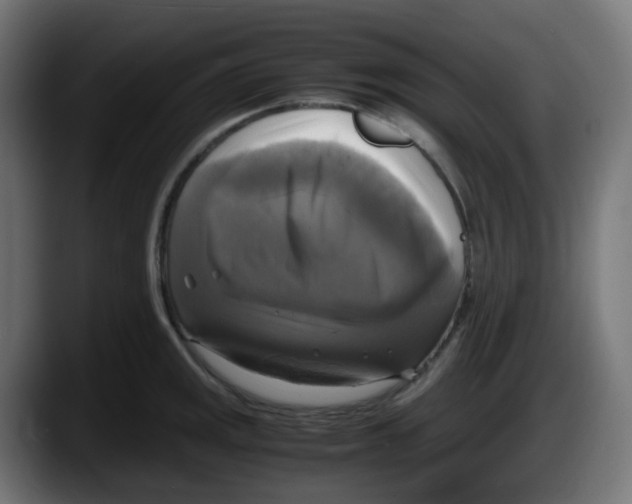 X0000087541141200705251714