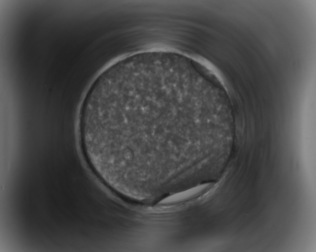 X0000087541142200705251714