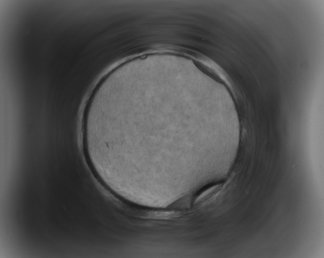 X0000087541143200705251714