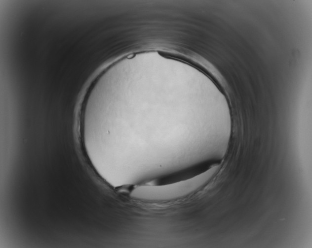 X0000087541144200705251714