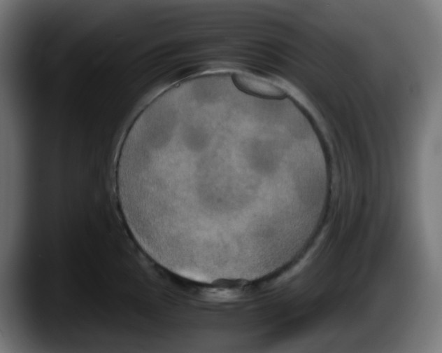 X0000087541145200705251714