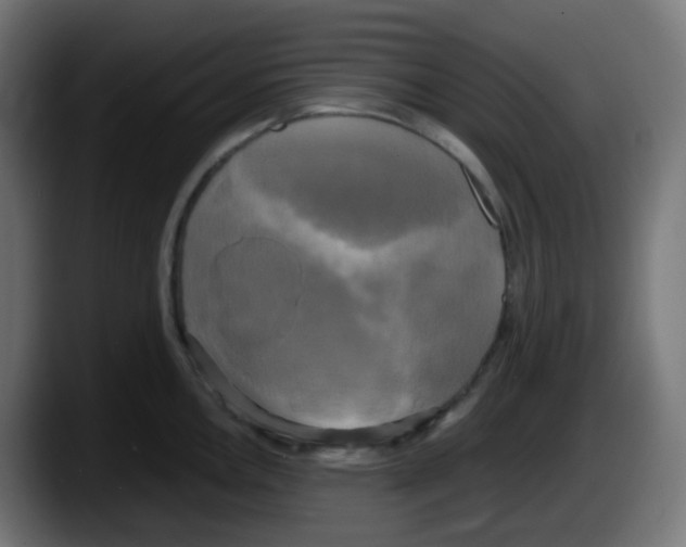 X0000087541146200705251714