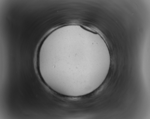 X0000087541147200705251714