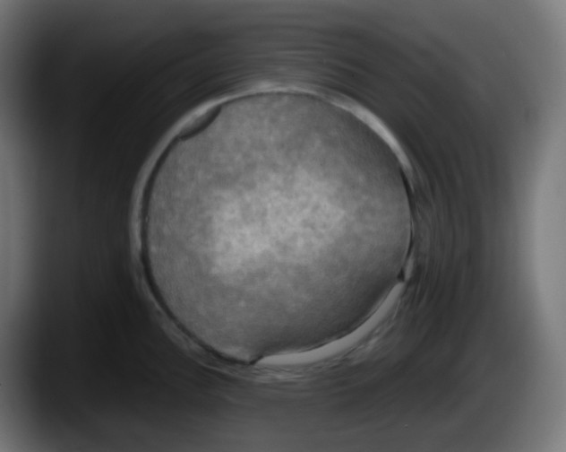 X0000087541148200705251714