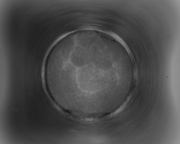 X0000087541149200705251714