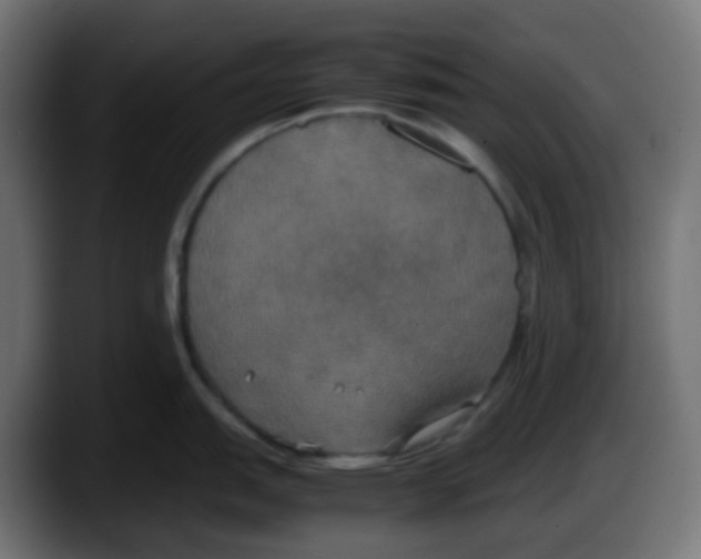 X0000087541151200705251714