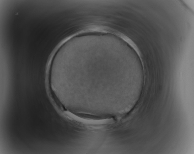 X0000087541152200705251715