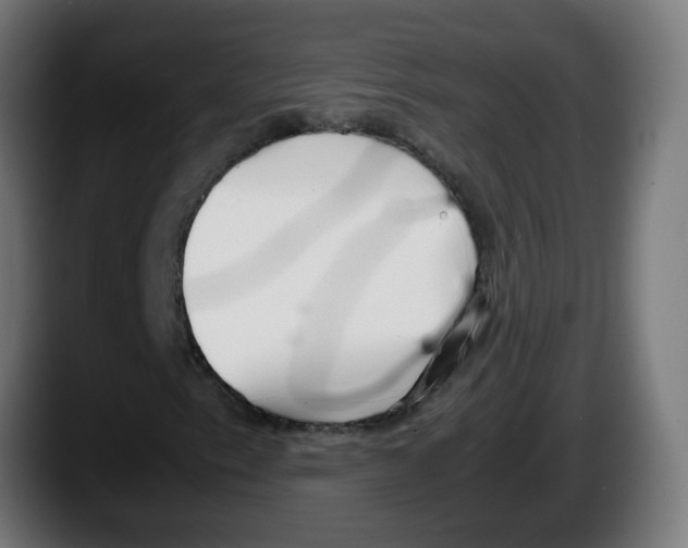 X0000087541153200705251714