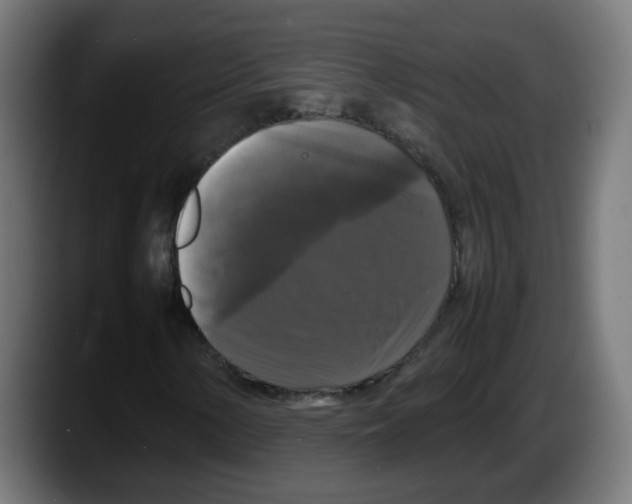 X0000087541154200705251714