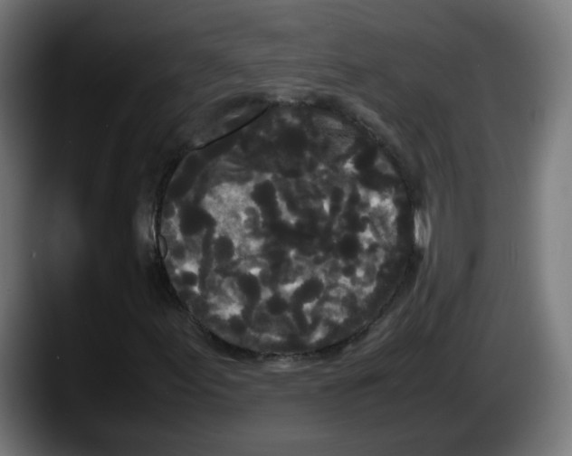 X0000087541155200705251714