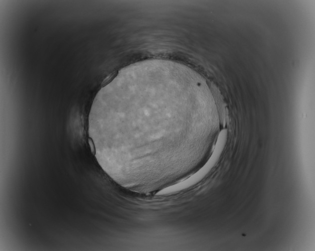 X0000087541156200705251714