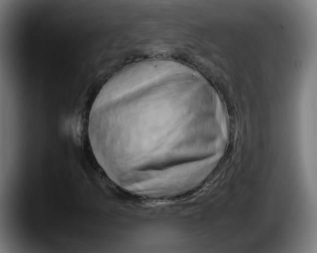 X0000087541157200705251714