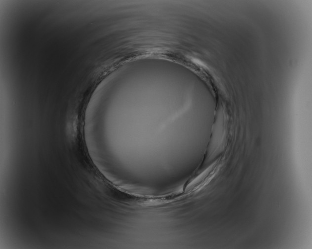 X0000087541161200705251714