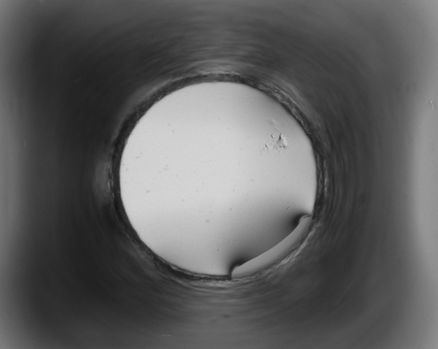 X0000087541164200705251714