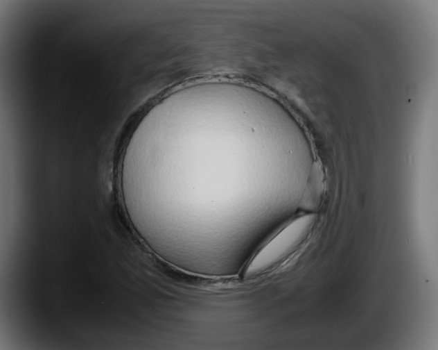 X0000087541165200705251714