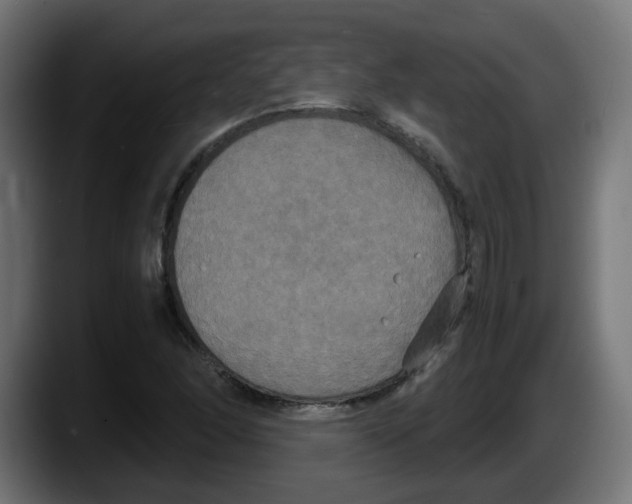 X0000087541166200705251714