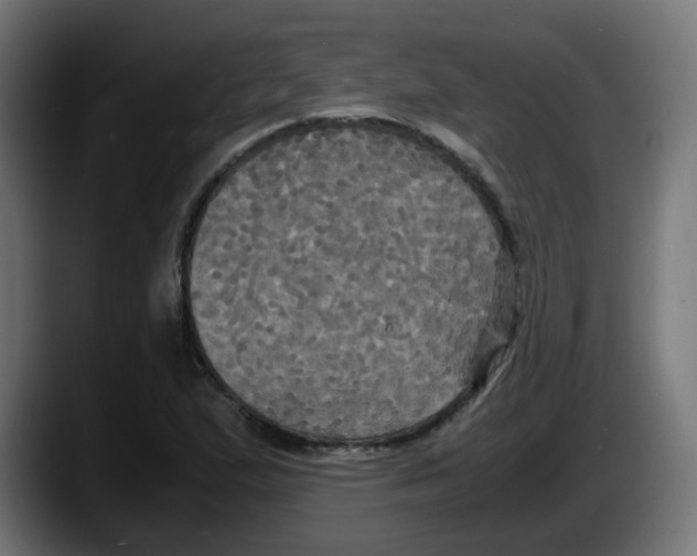 X0000087541167200705251714