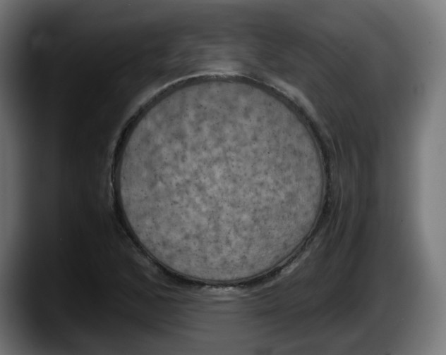 X0000087541168200705251714