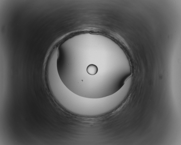 X0000087541172200705251714